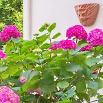 Holidays - Charmant, Authentique, 3 Chambres, Calme, Palais&plage Appartement