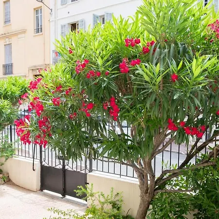 Апартаменты Holidays - Charmant, Authentique, 3 Chambres, Calme, Palais & Канны